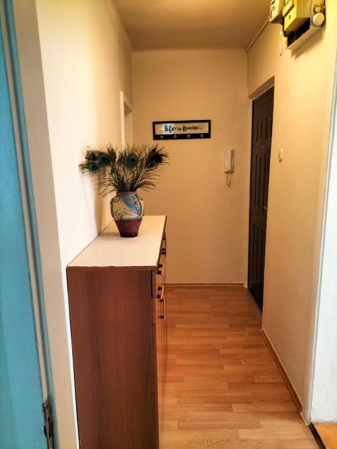 דירות רייקה Apartman Lulu מראה חיצוני תמונה